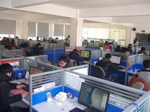 國子軟件官網(wǎng) 專業(yè)信息系統(tǒng)集成服務，助力企業(yè)數(shù)字化升級